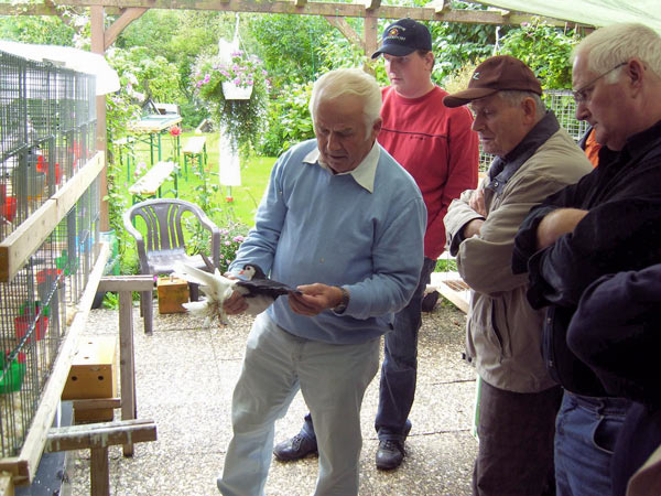 Gerd Struss bei der Bewertung